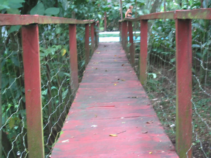 the walkway leads to the woods while another walks the other way