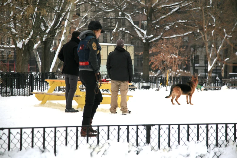 a group of three people and a dog in the snow