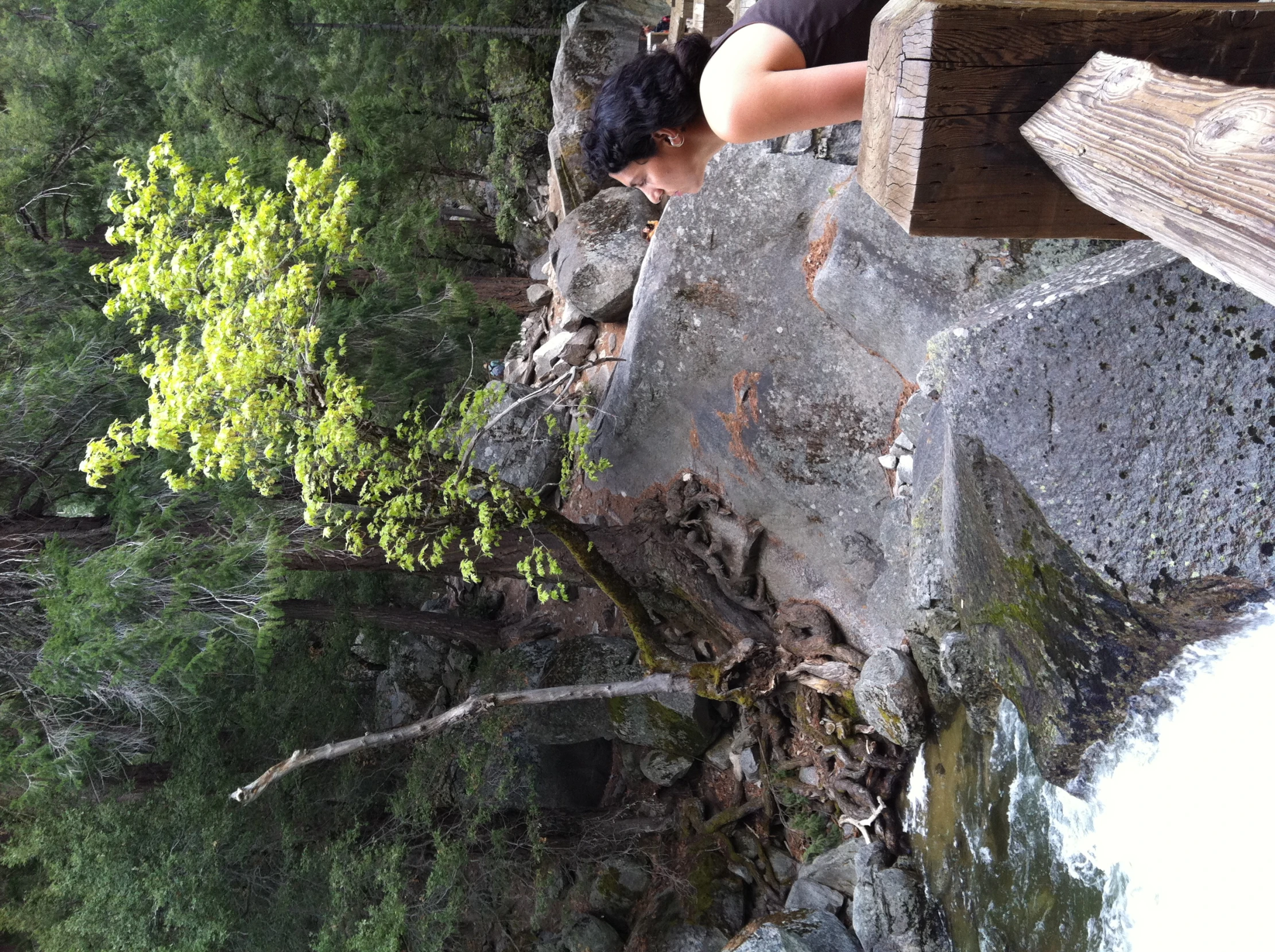 a woman is standing on a bridge looking into the woods