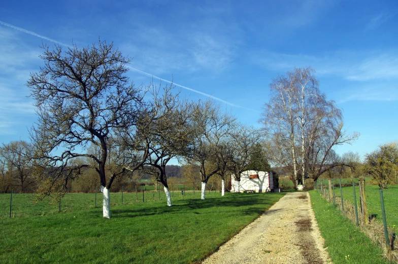 a dirt road is leading to the green field