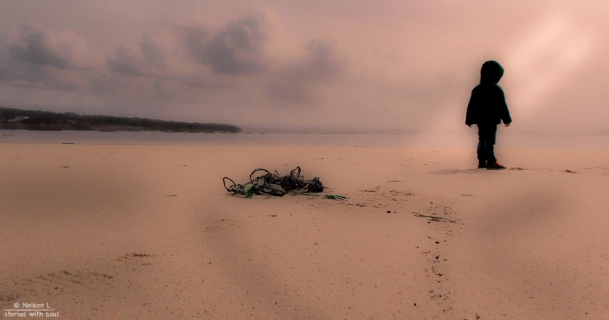 a person looking at an object on a beach