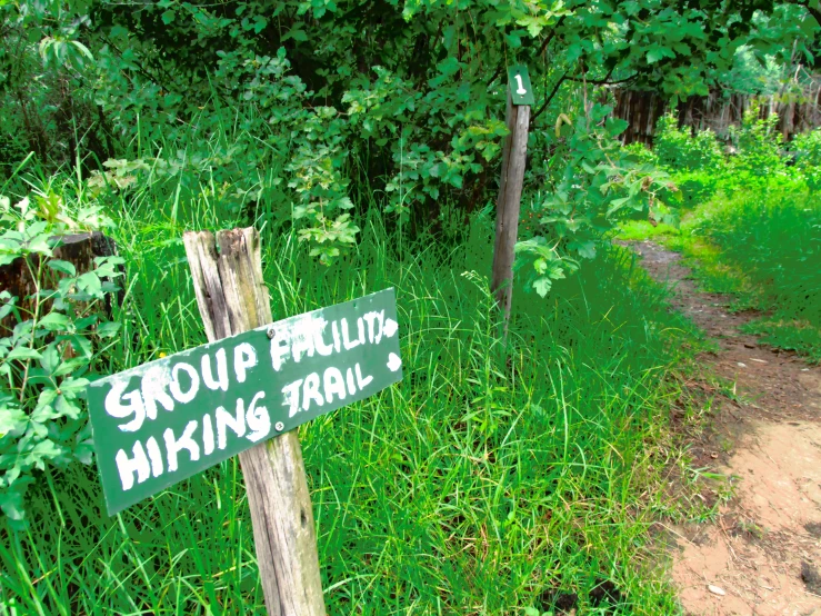 a group of hiking trails on the side of the road