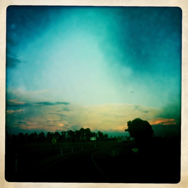 a green colored sky and some trees and bushes