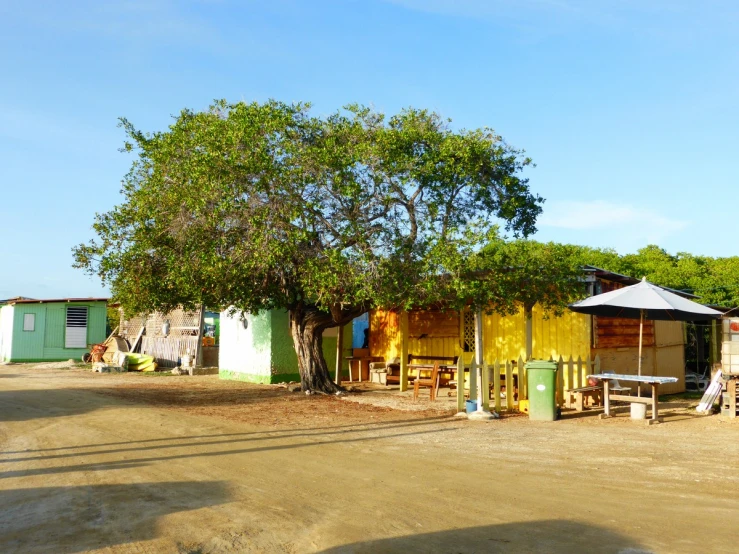 a shack on the side of the road, with lots of trees in it