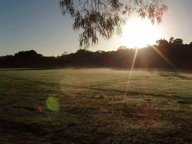 a park with the sun setting over it