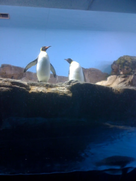 two penguins are sitting on some rocks by water