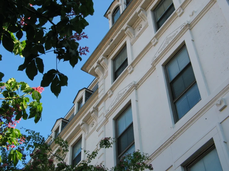 a white building with many windows and a clock on it