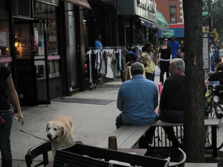 people are sitting on benches as a dog walks by