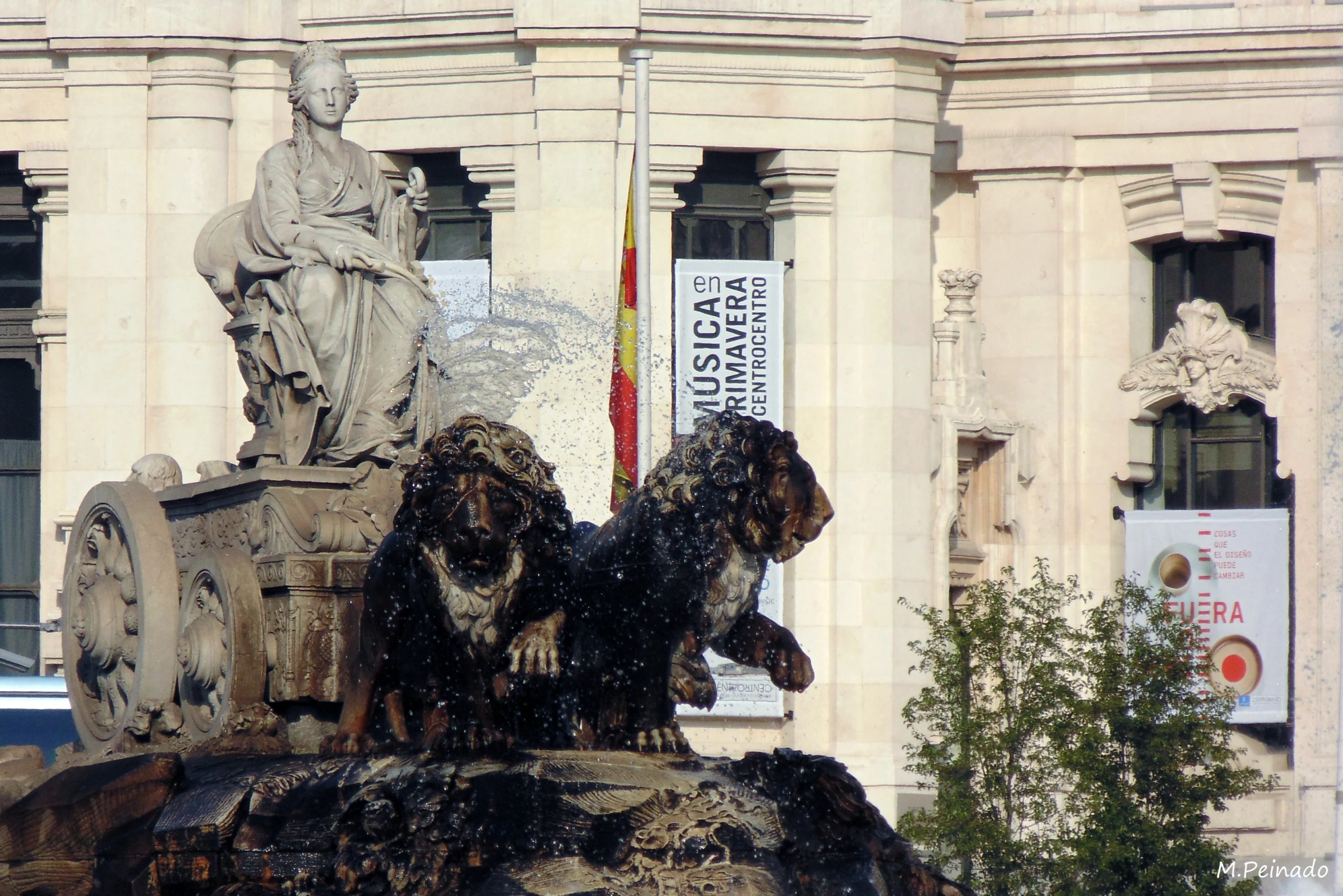 two dogs are playing in the water from the fountain