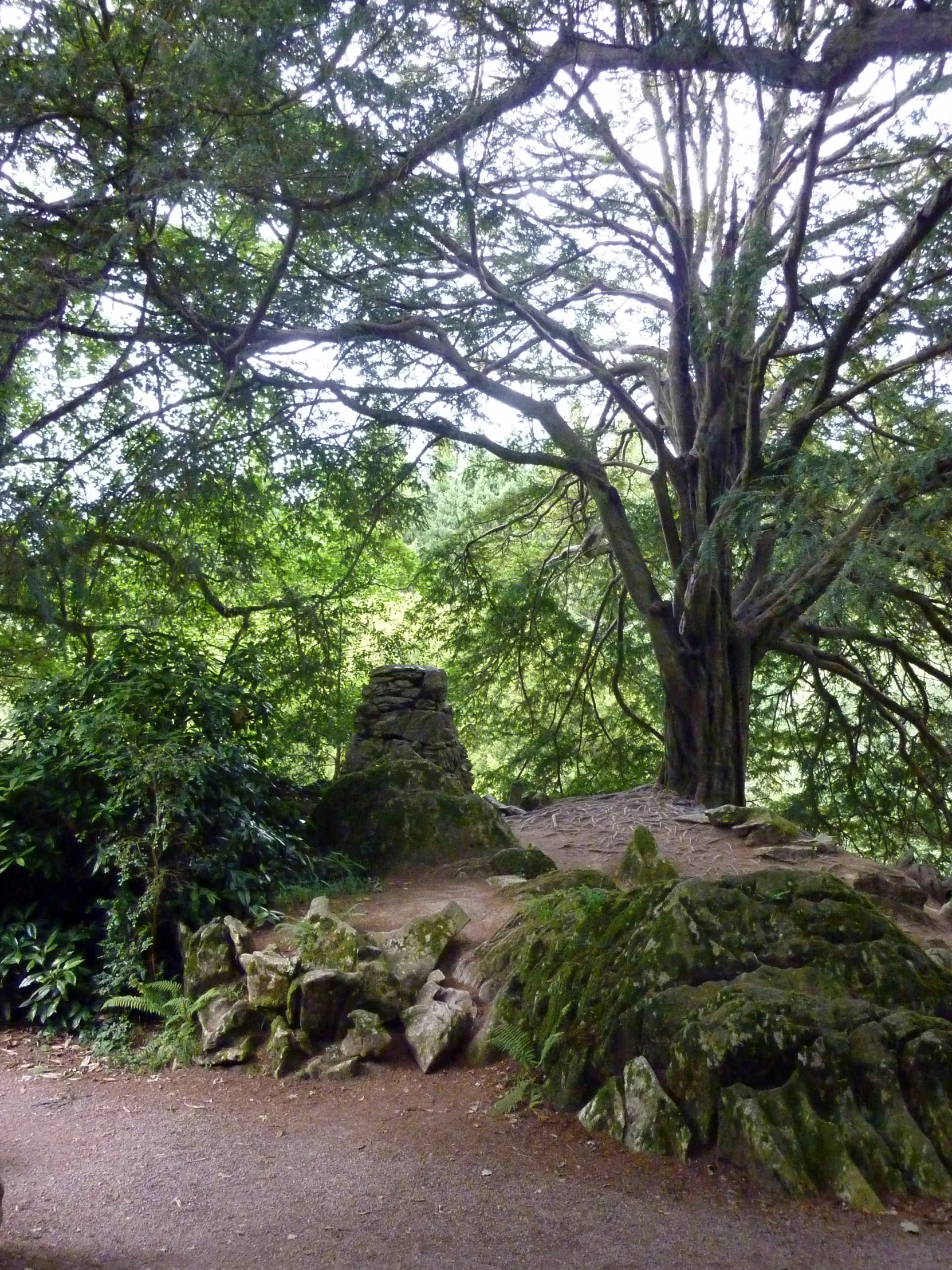 a stone structure in the middle of the woods