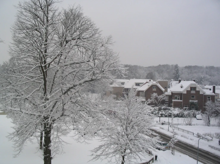 a snowy view of a residential neighborhood in the winter