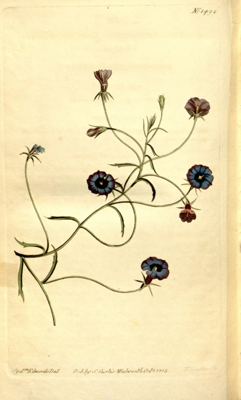 an old book with flowers drawn on it