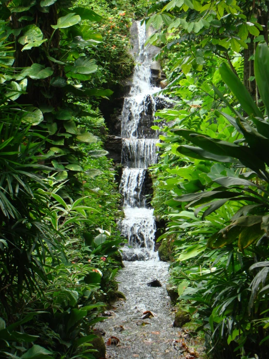 a trail is running by a waterfall