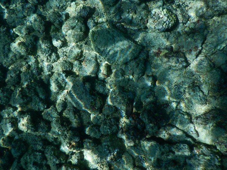 water bubbles beneath a rock on a sunny day