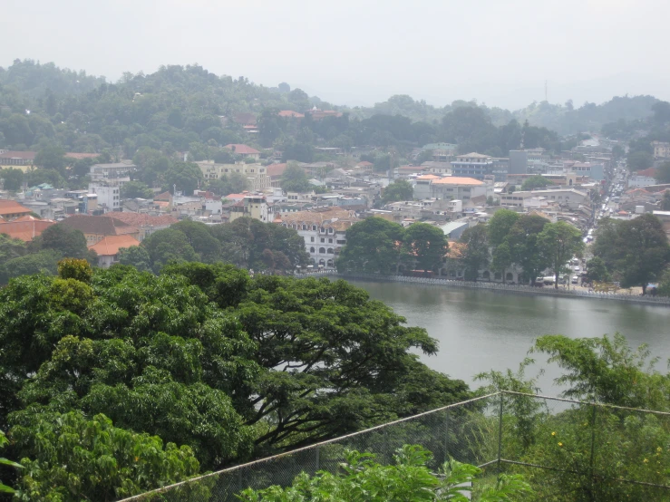 a river flows between the city skyline and trees