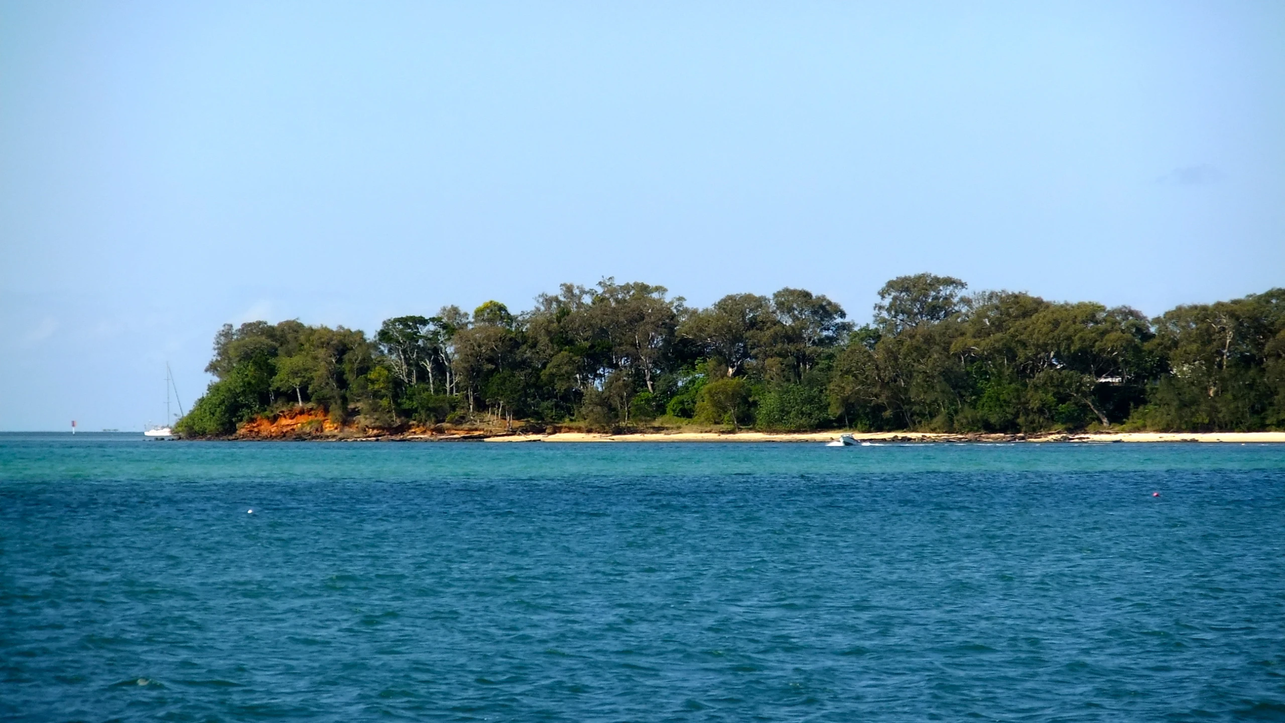 a small island with several trees in the middle