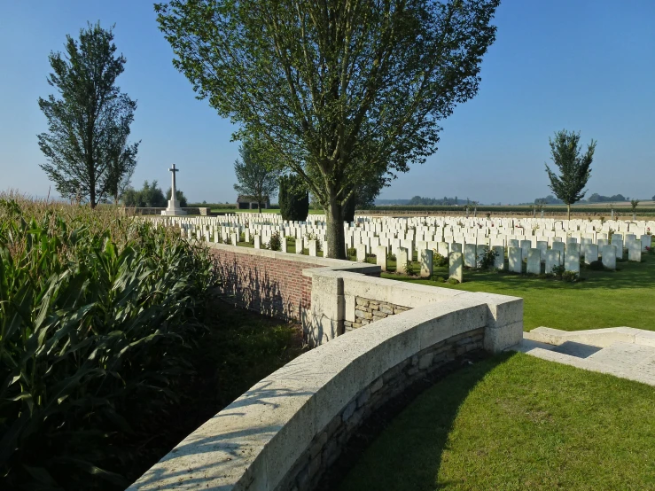 many rows of graves lined up next to each other