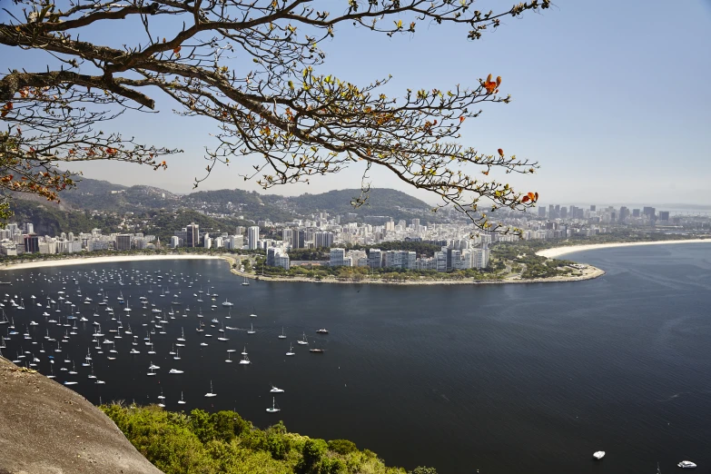 a very large body of water surrounded by a city