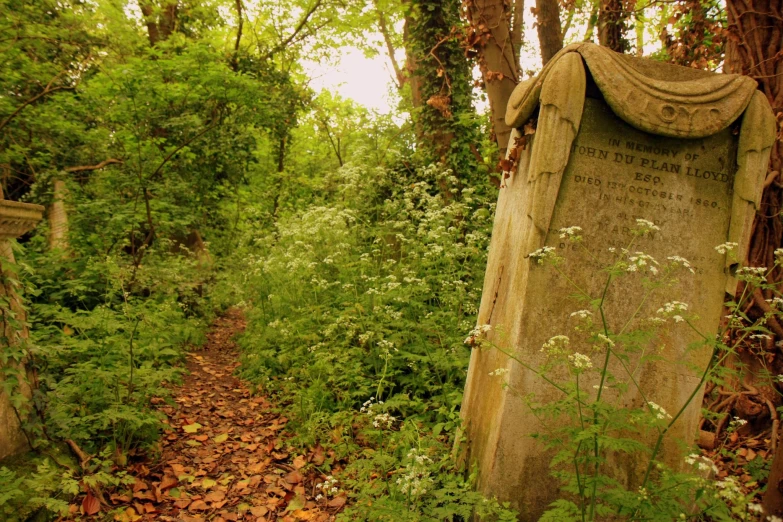 a long, leaf covered road that is leading to an old grave