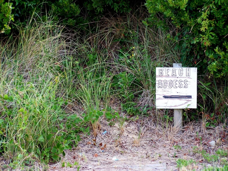 a sign sitting in the middle of a forest next to trees