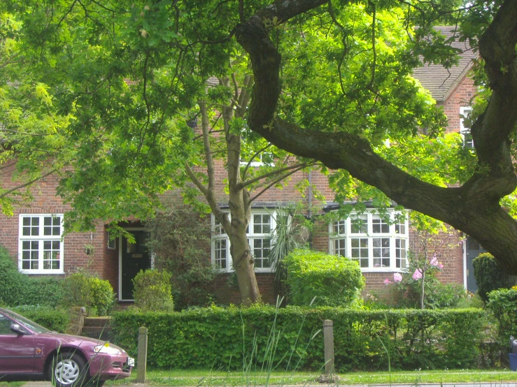 a red car parked in front of a large tree