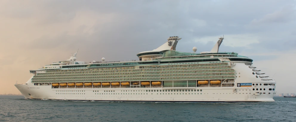 the cruise ship is anchored in the ocean