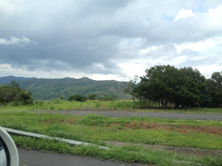 a car driving down a road in front of a lush green forest