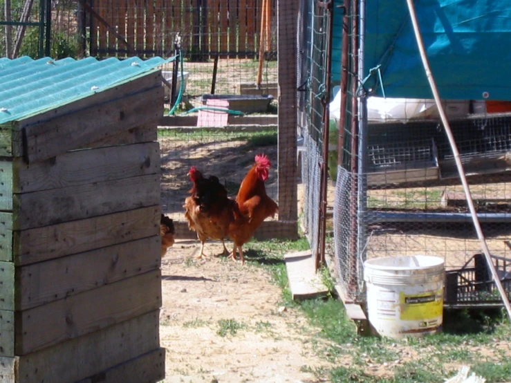 a chicken coop with two chickens standing in the grass