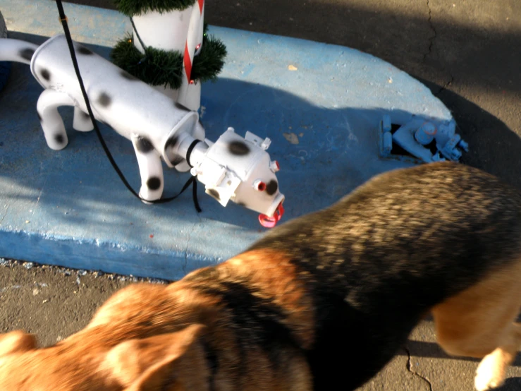 the dog is standing next to the blowup machine