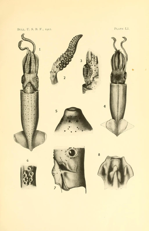 a book with various images of bugs and worms