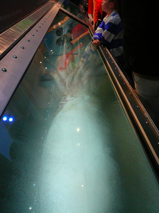 a group of people stand at the edge of an escalator