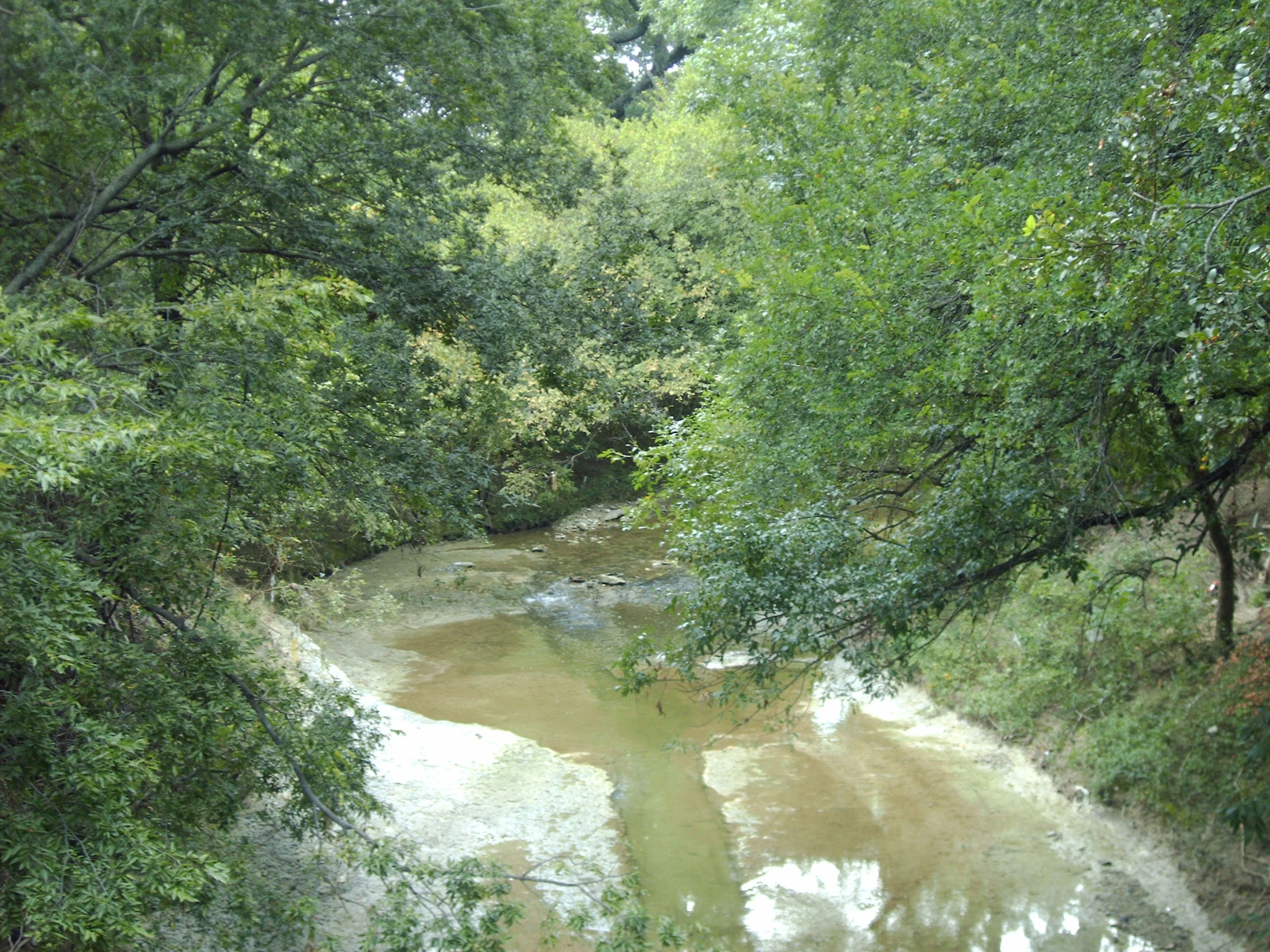 the view of a river with small waves through trees