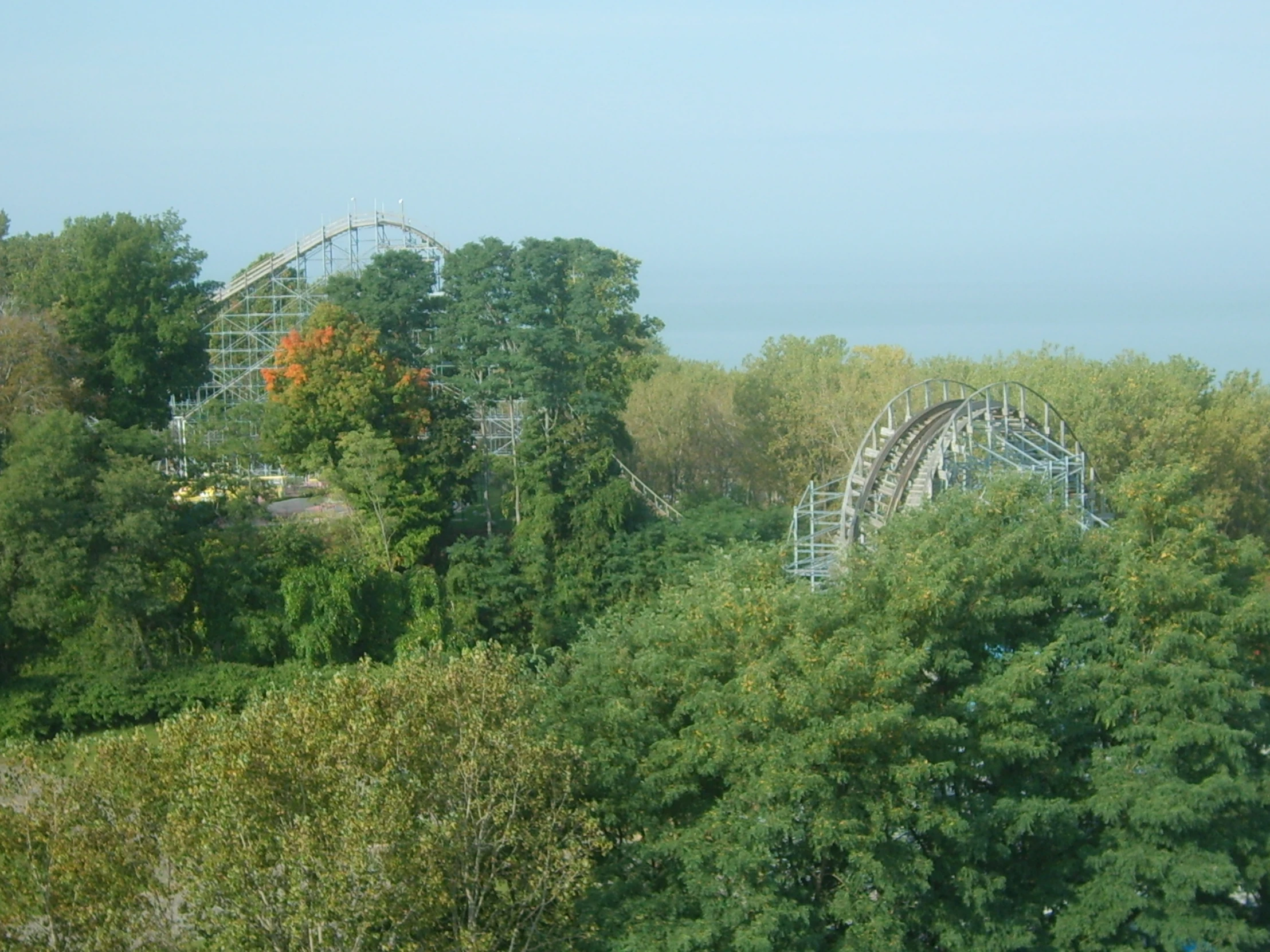 a roller coaster over the trees at a amut park