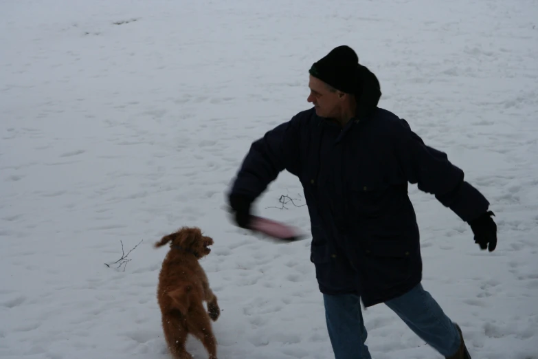 a man playing frisbee with his dog in the snow