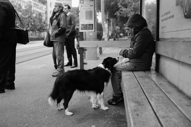 a black and white po of a person petting a dog