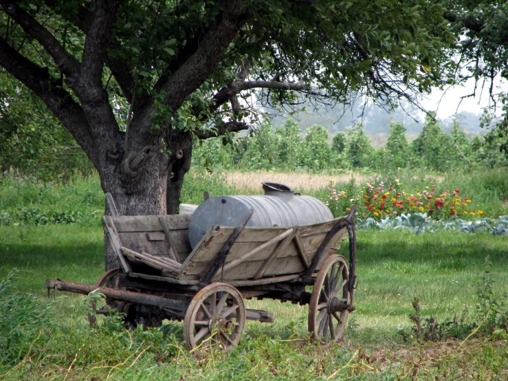 a wagon sitting next to a tree with luggage on it