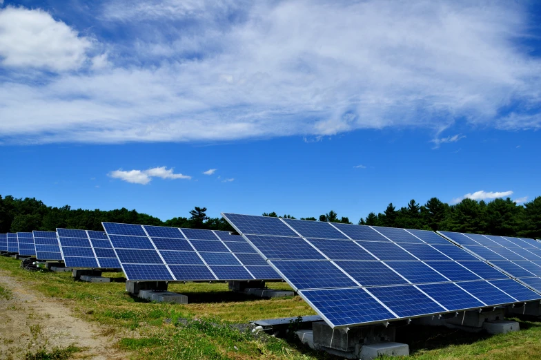 the rows of solar panels are neatly arranged in a row