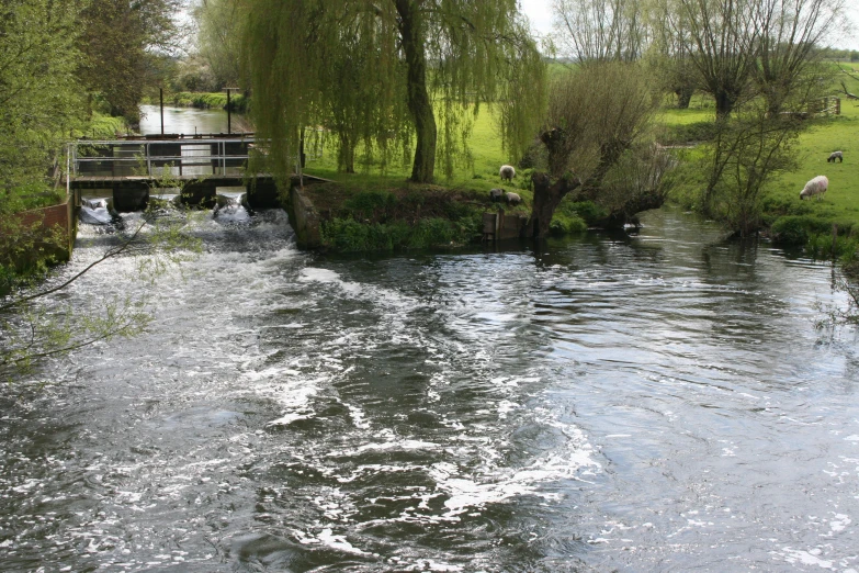 a small waterway that is going through a field