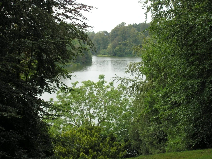 a small lake surrounded by trees on a cloudy day