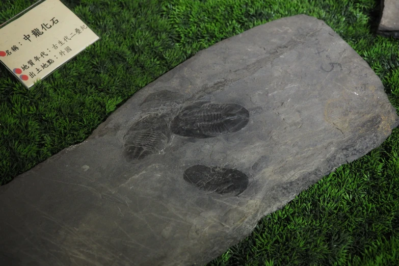 a large stone with shoes on it near a tag on a grass field