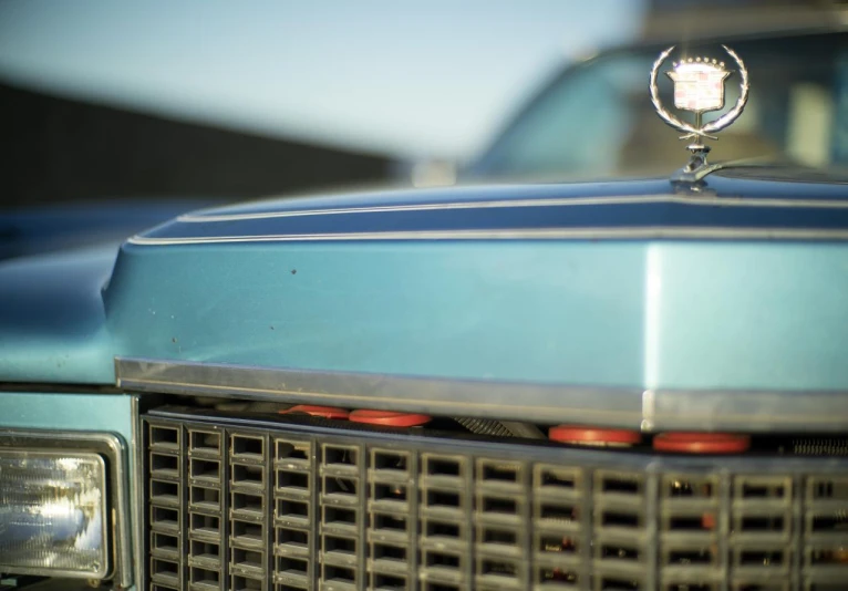 the grills on a blue car are grill design