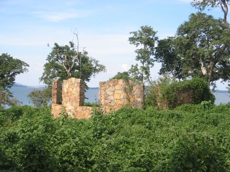 some ruins are in the bushes by some water