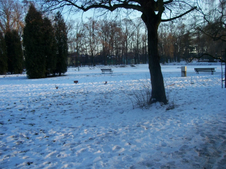 a park area covered in snow with many benches