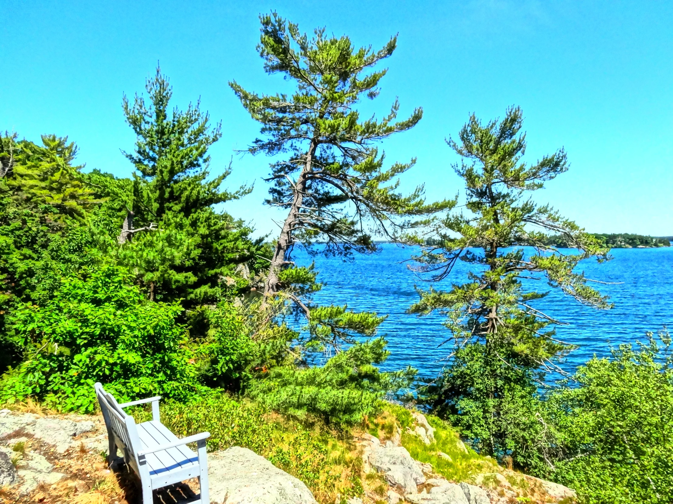 a bench sits on a rock overlooking a lake