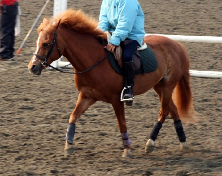 a jockey in light blue clothes rides a brown horse