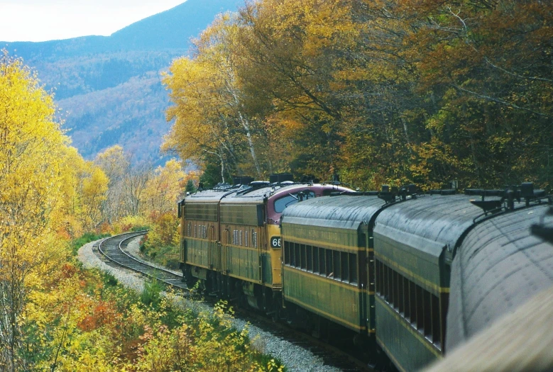 a train that is on the tracks near some trees