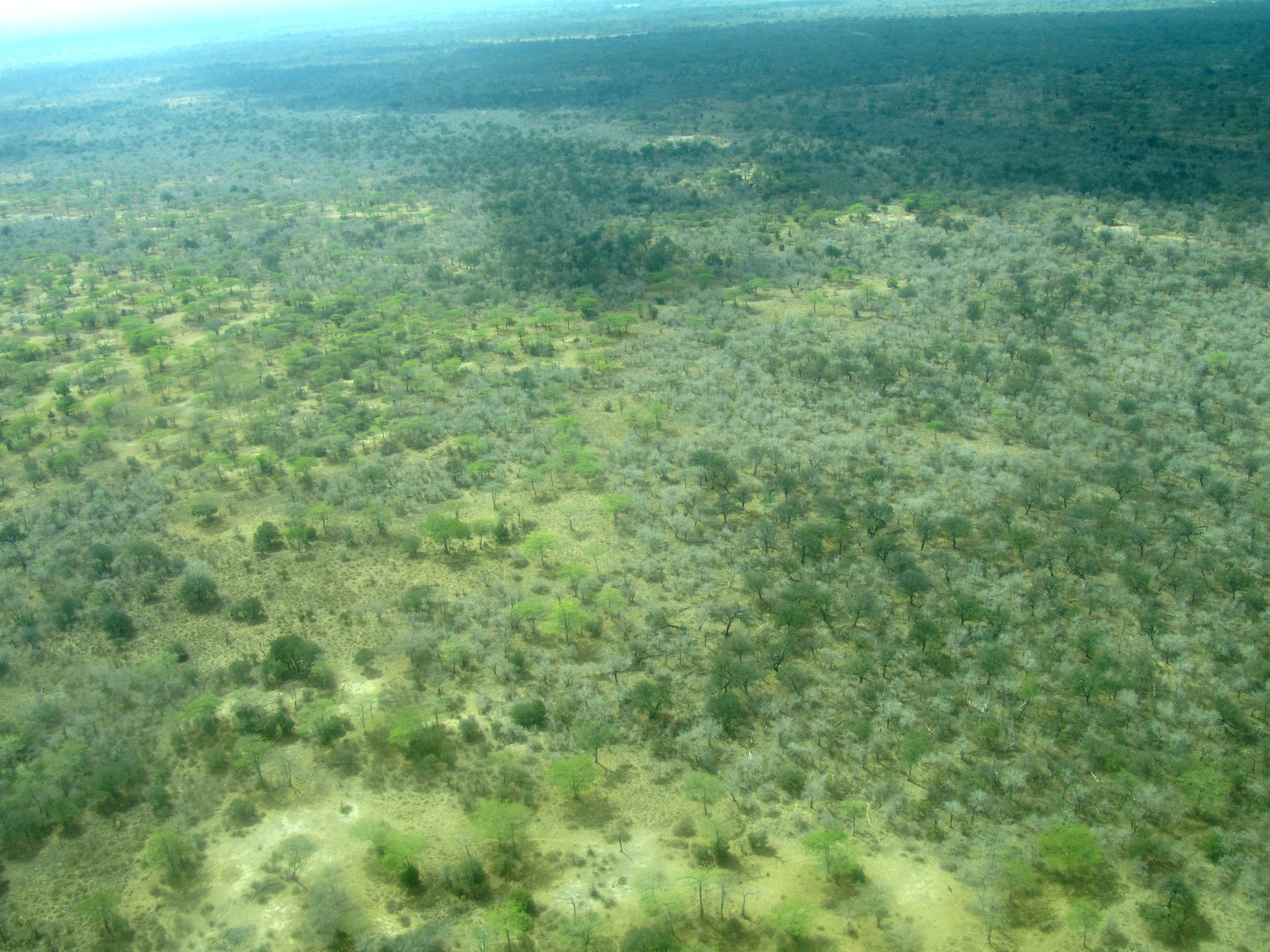 the landscape shows trees, shrubs, and bushes