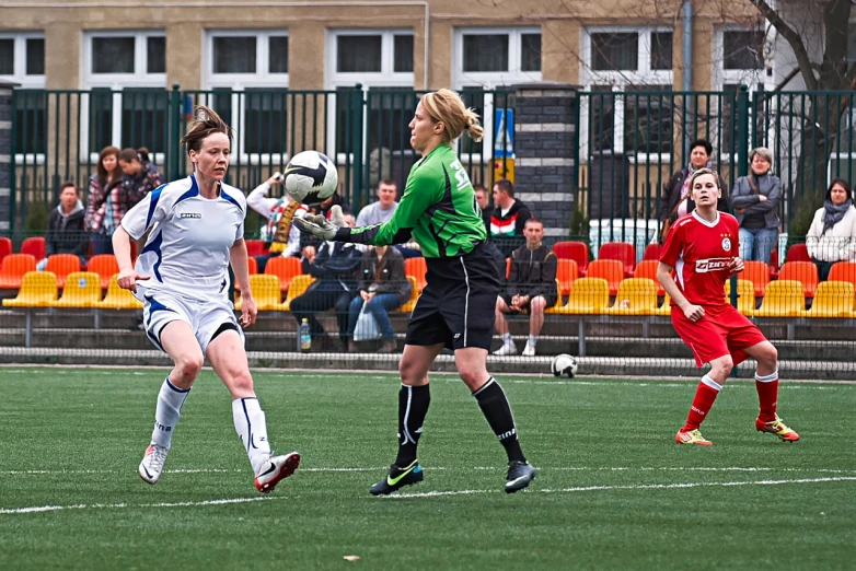 soccer players in a field playing on grass with spectators watching