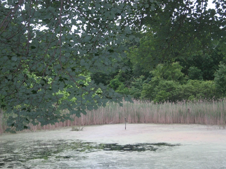 the area that the bench is located in is empty