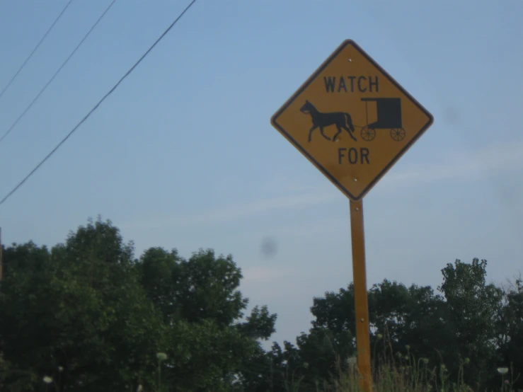 a sign that warns dogs to watch for their litter